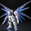 Bandai Gundam 1/144 RG #05 Seed ZGMF-X10A Freedom Gundam Model Kit